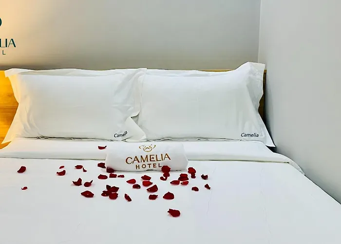 Camelia 108 Le Lai